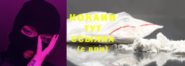 a pvp Горняк