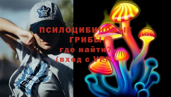 a pvp Горняк