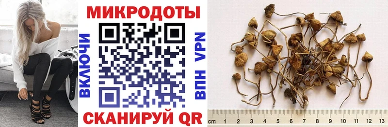 Купить закладки  Сибай  Псилоцибиновые грибы Cubensis 